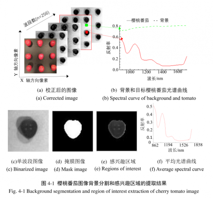 Internal quality detection of tomato based on hyperspectral imaging ...